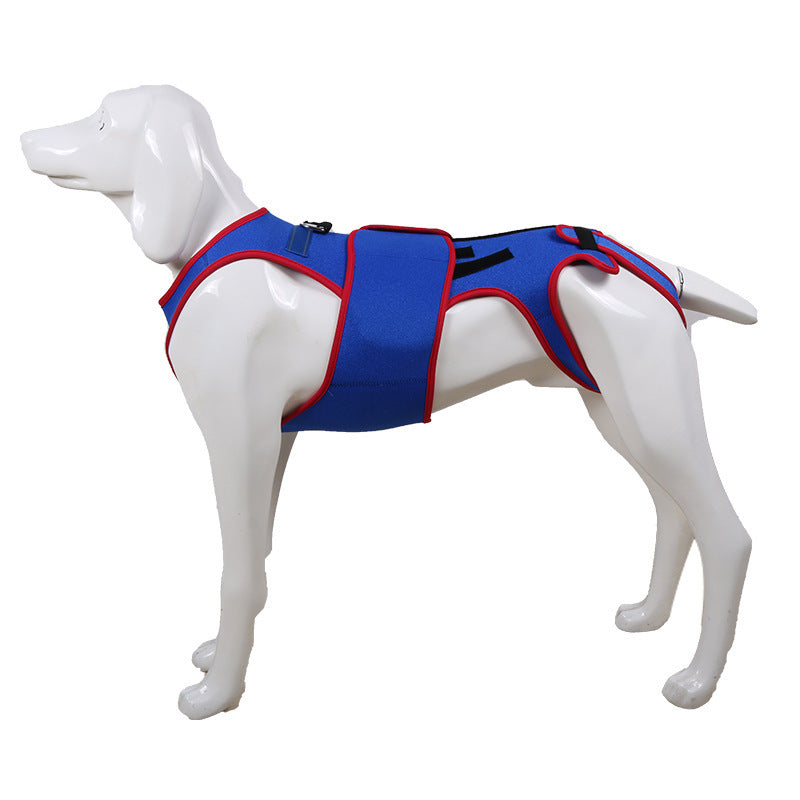 Pet Spine Support Posture Correction Jacket