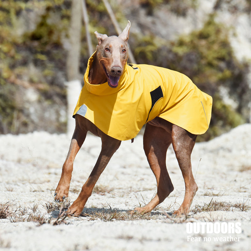 Pet Waterproof Windproof Shell Jacket Raincoat Outdoor Clothing
