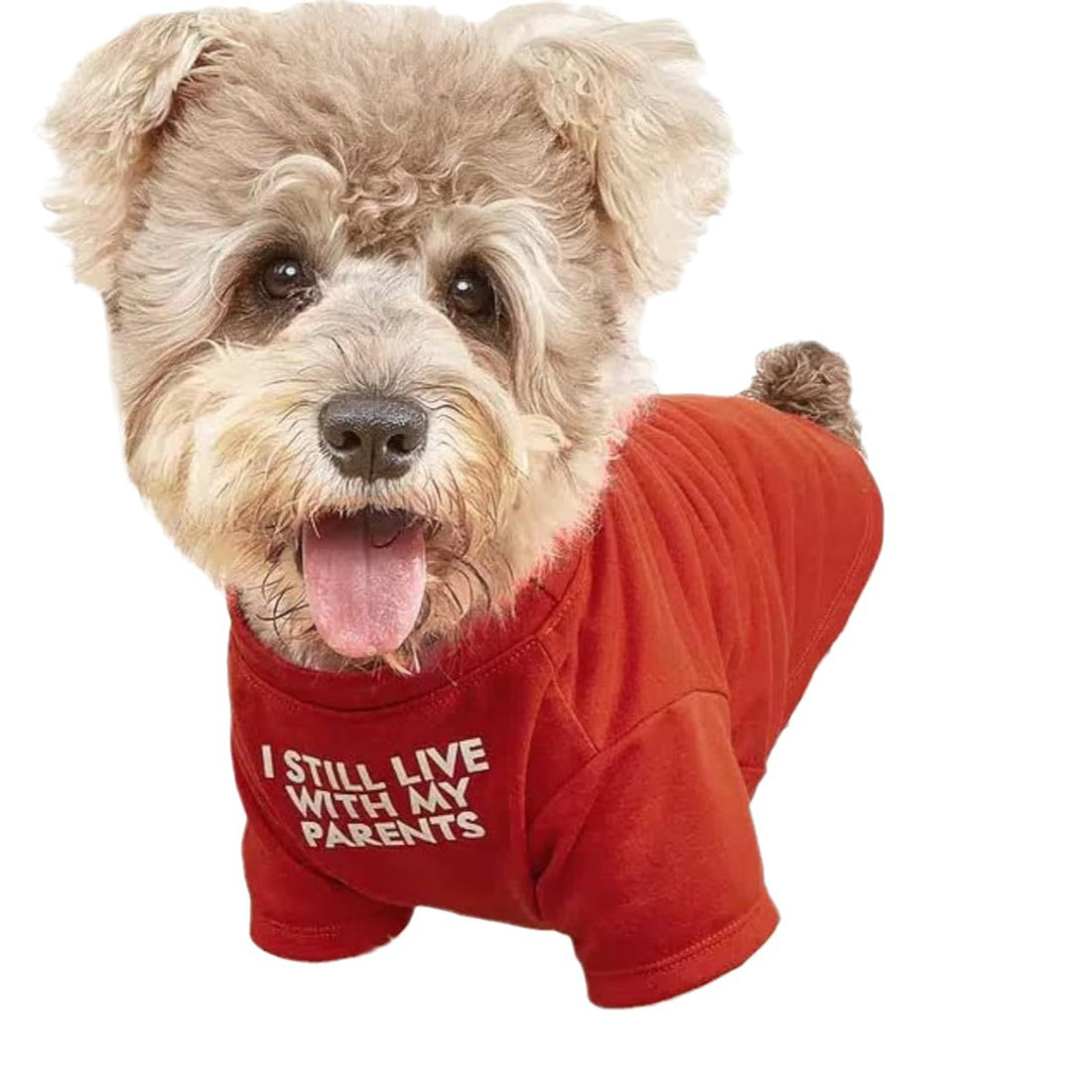 Round Neck Pet T-Shirt Clothing Apparel