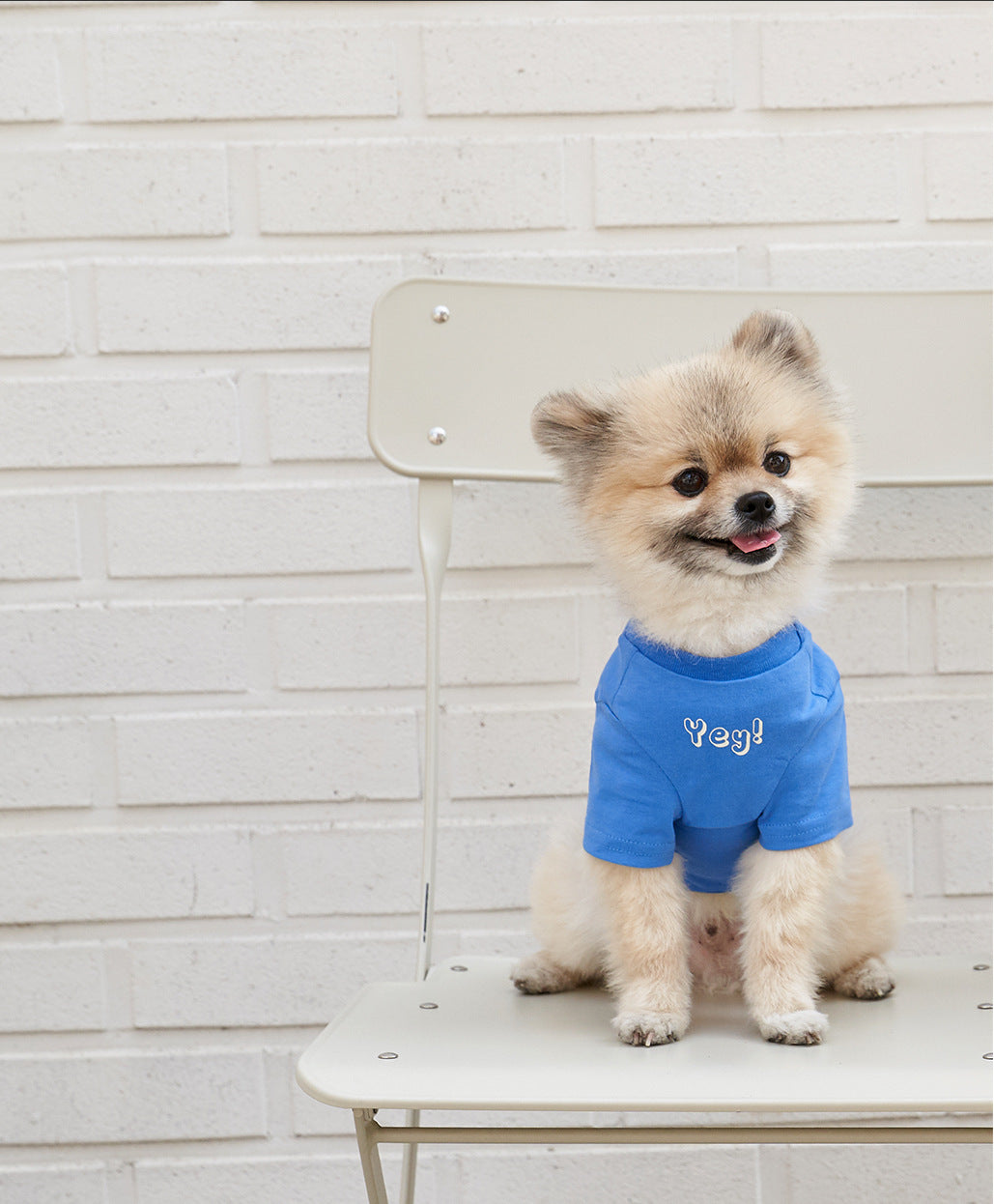 Korean Style Cotton Short Sleeve Pet T-Shirt Apparel
