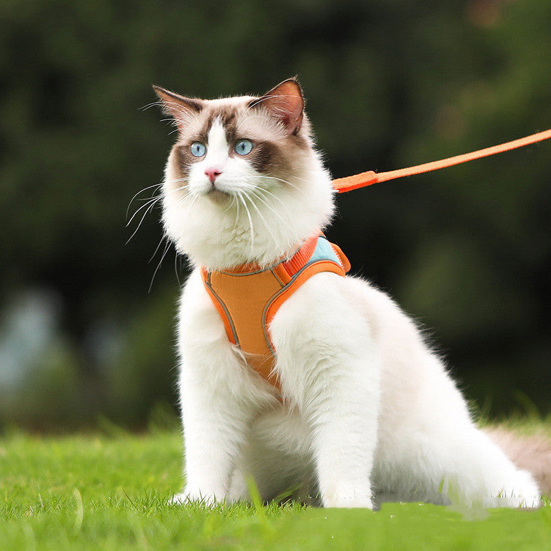 Reflective Anti Escape Pet Harness And Leash
