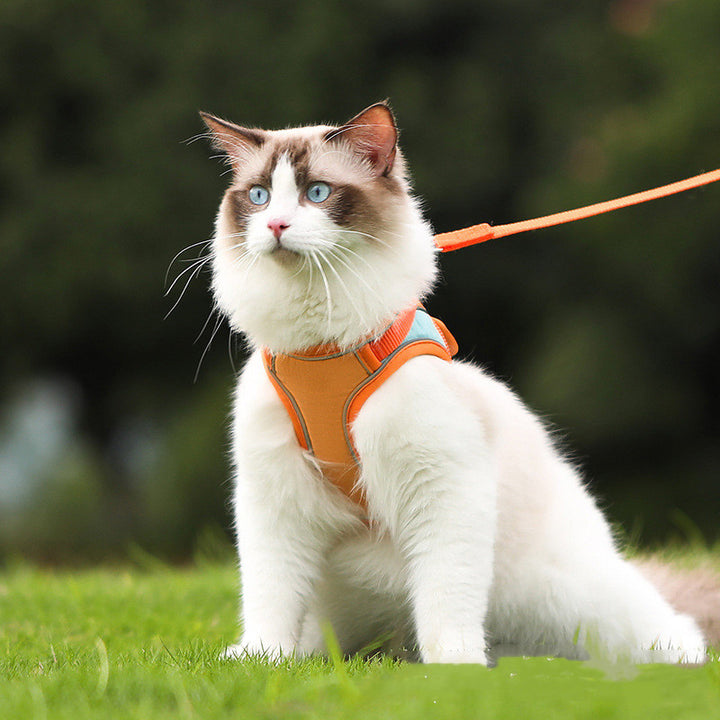 Reflective Anti Escape Pet Harness And Leash