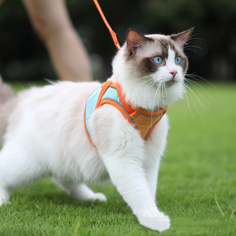 Reflective Anti Escape Pet Harness And Leash