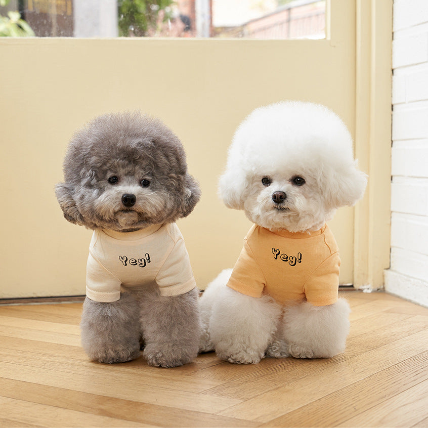 Korean Style Cotton Short Sleeve Pet T-Shirt Apparel