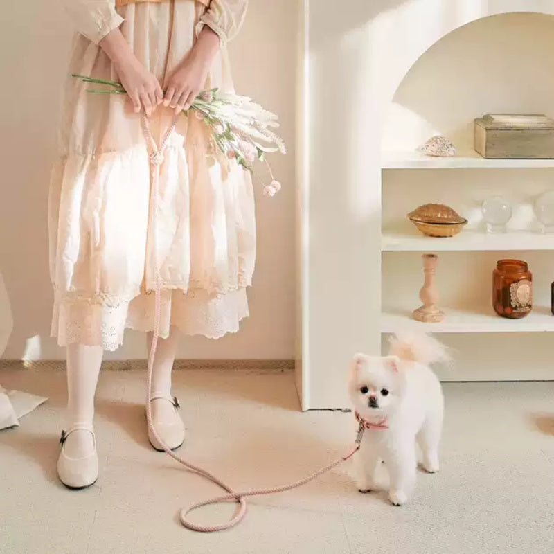 Leather Pet Collar And Handheld Rope Leash