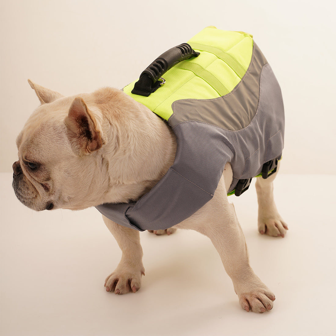 Reflective Pet Swim Life Jacket Safety Vest