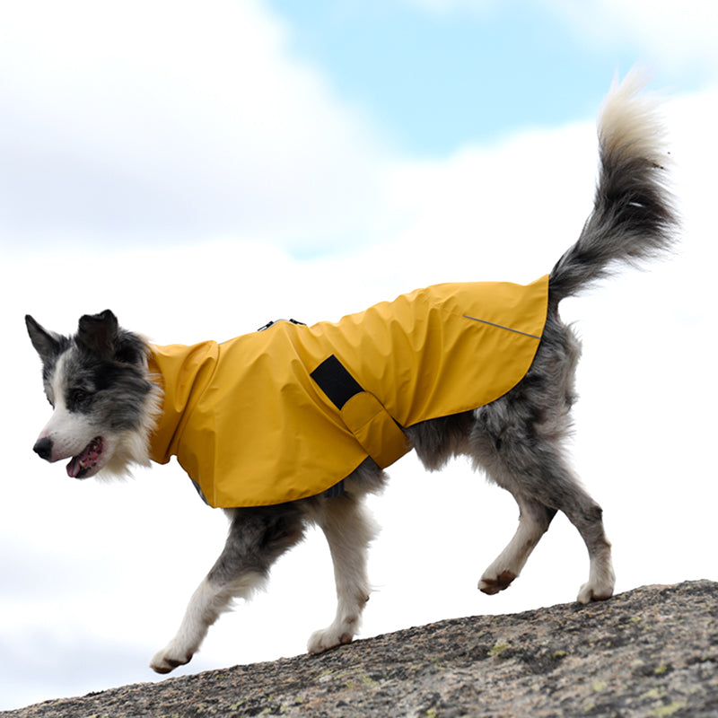 Pet Waterproof Windproof Shell Jacket Raincoat Outdoor Clothing